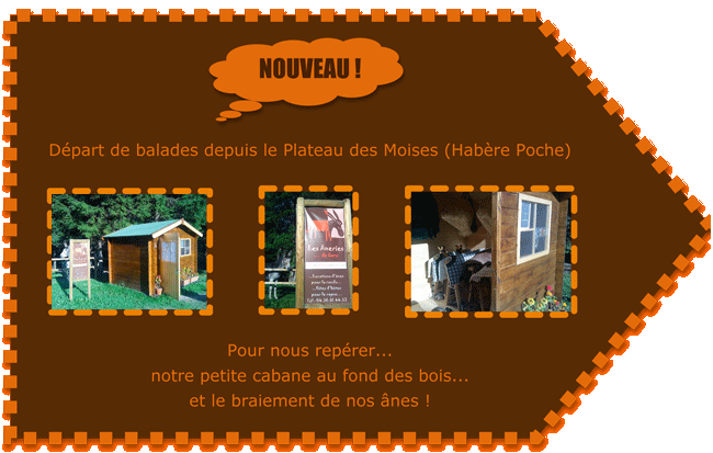 les aneries de caro